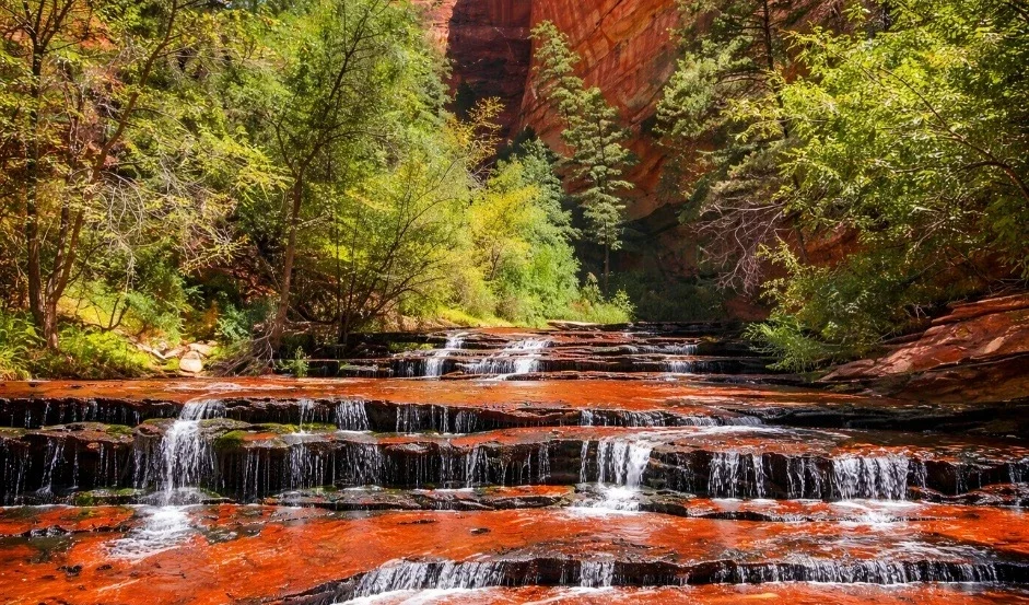 A stream flowing over red sandstone in a green canyon