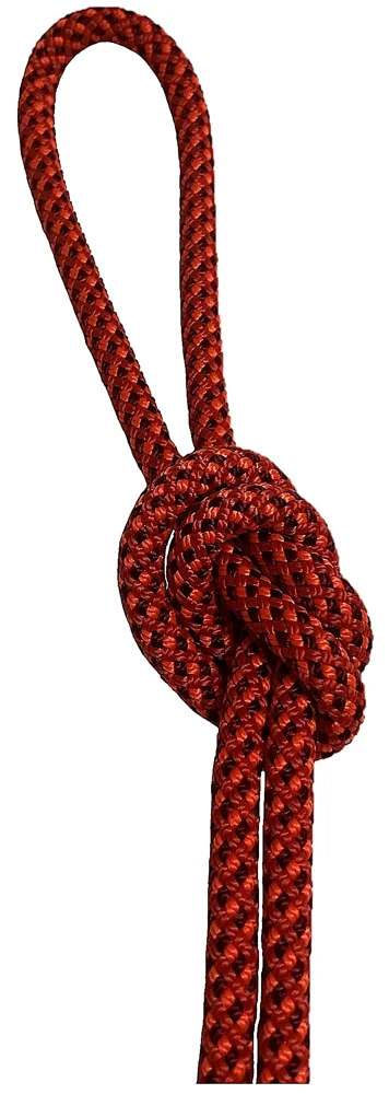 A red rope tied into a figure-eight knot on a bight